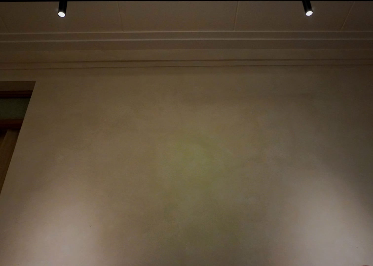 sage sanctum limewash paint preview 7