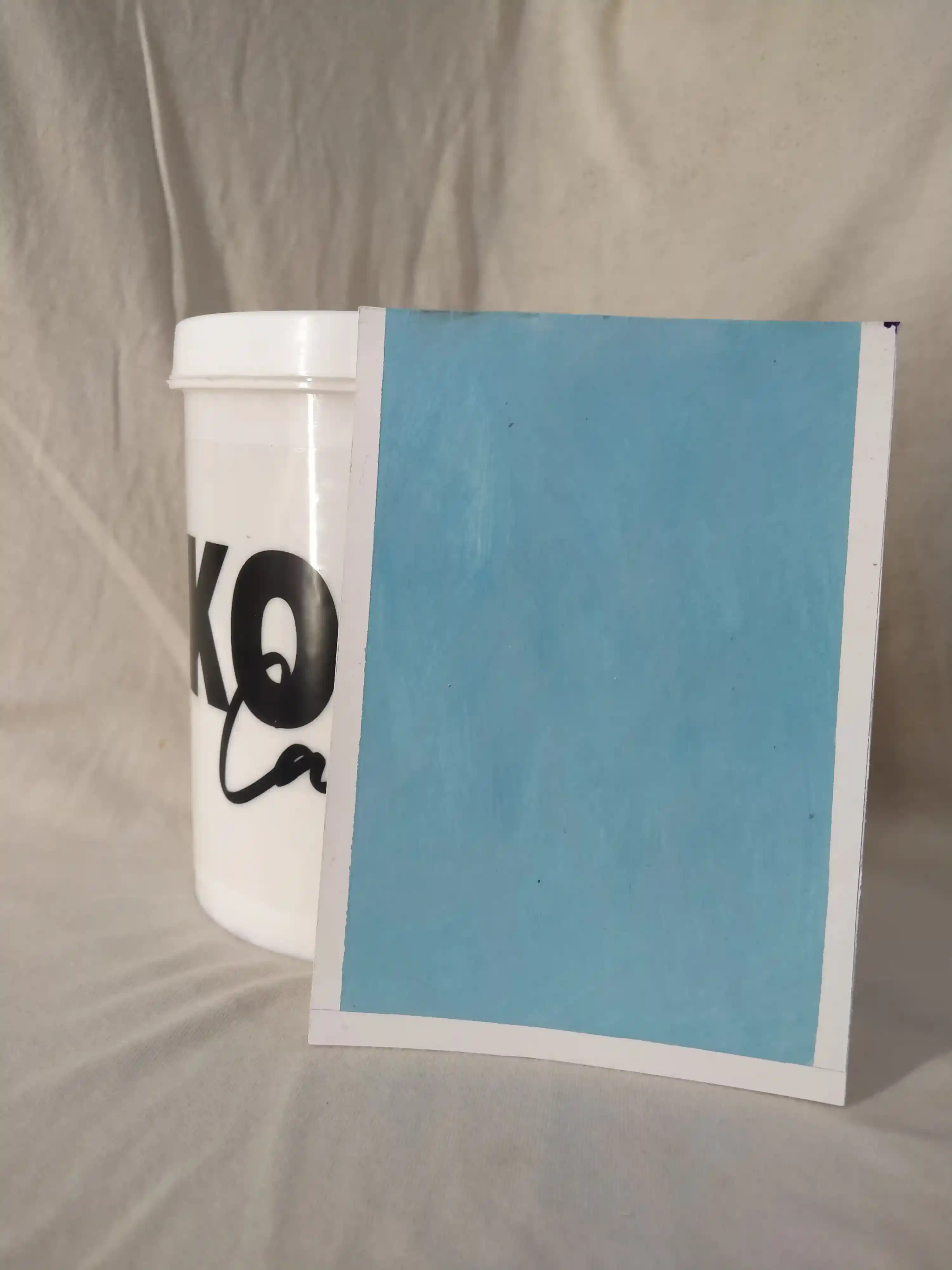 Nile Nile Lime Wash texture paint