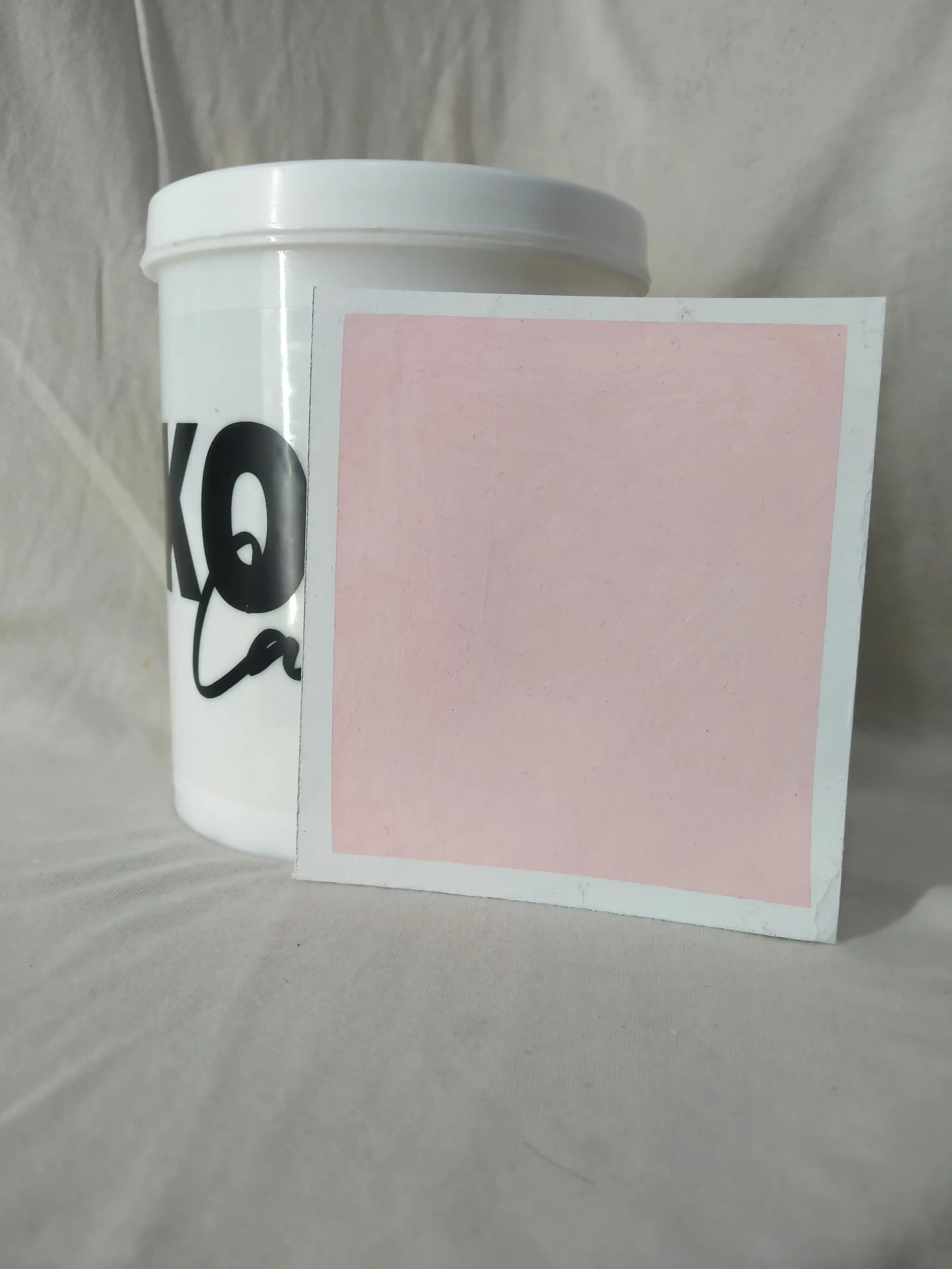 Swan Swan Lime Wash texture paint