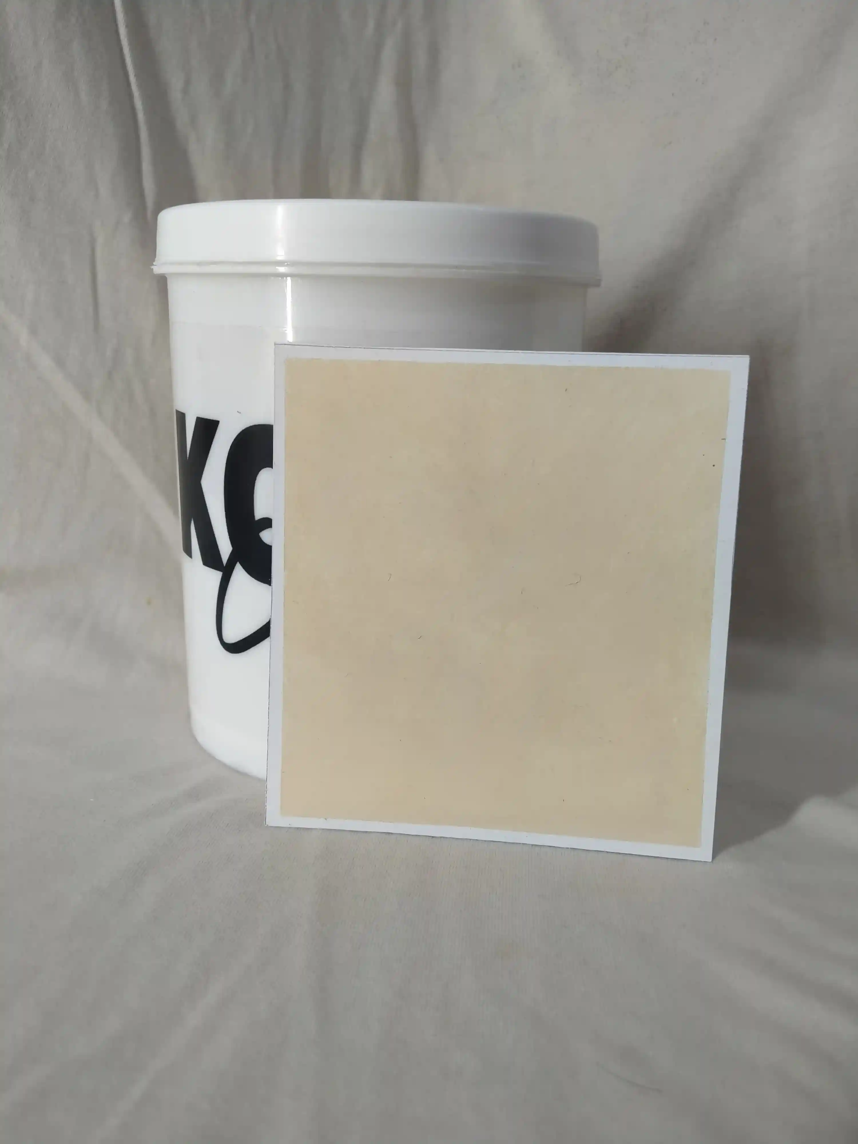 Mushroom Mushroom Lime Wash texture paint