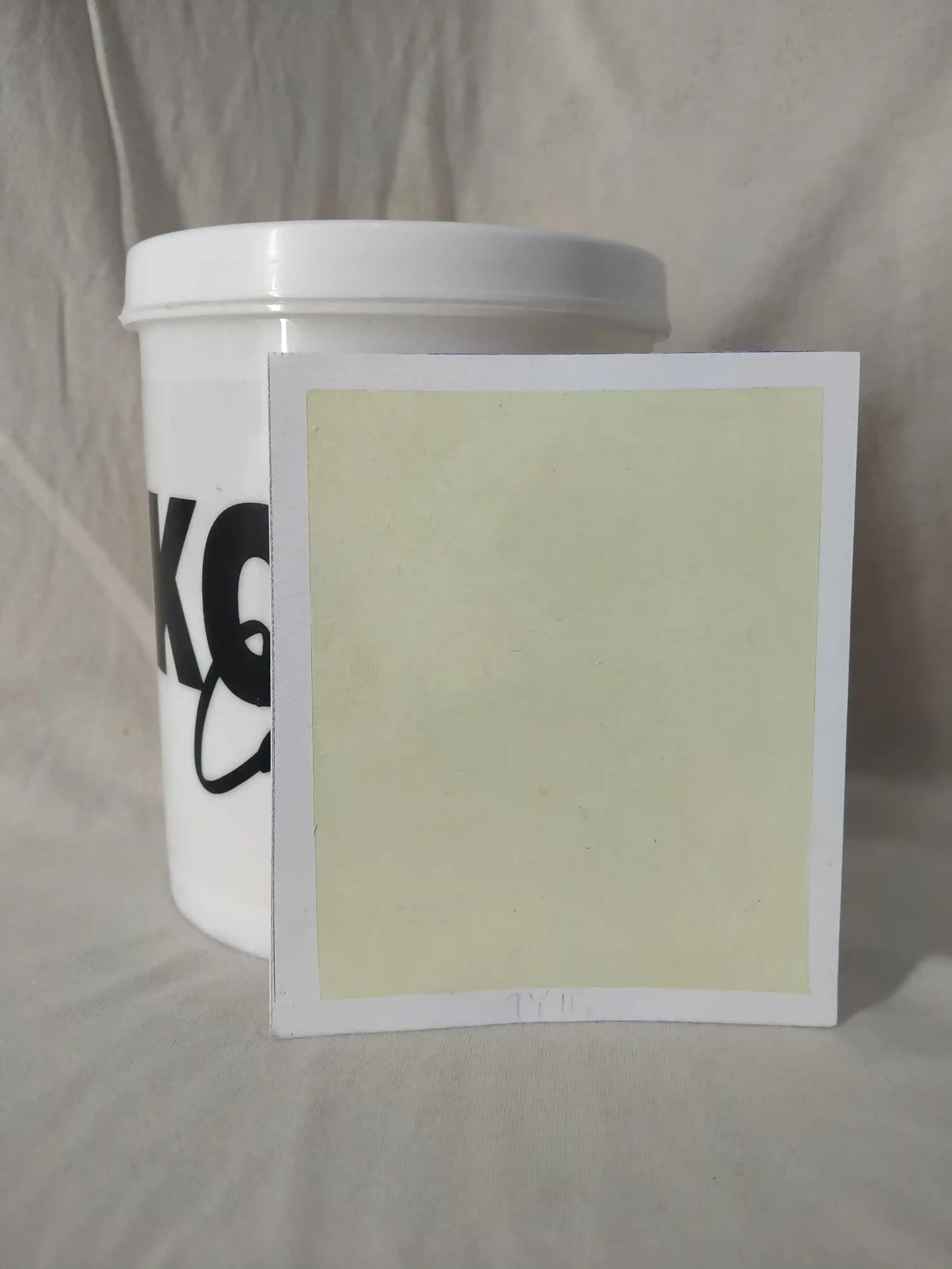 Swamp Swamp Lime Wash texture paint
